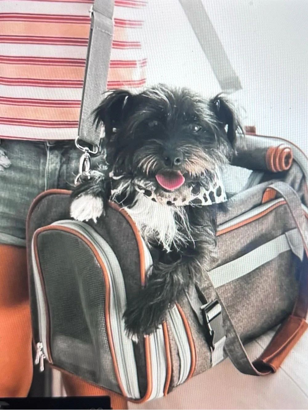 Mr. Peanut's Gold Series Pet Carrier - Rosa Red